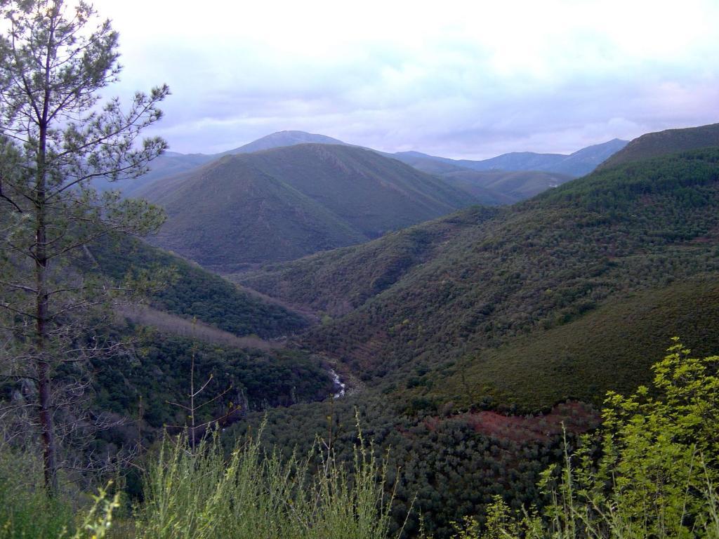 Alojamientos La Herrera San Esteban de la Sierra Cameră foto